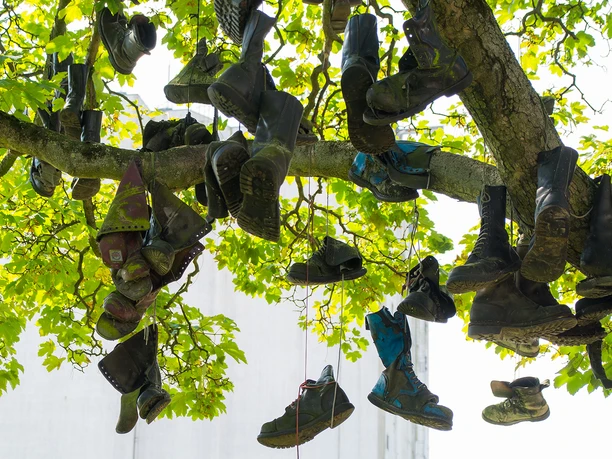 PE_FriedrichEbertPlatzSchuhbaum.jpg