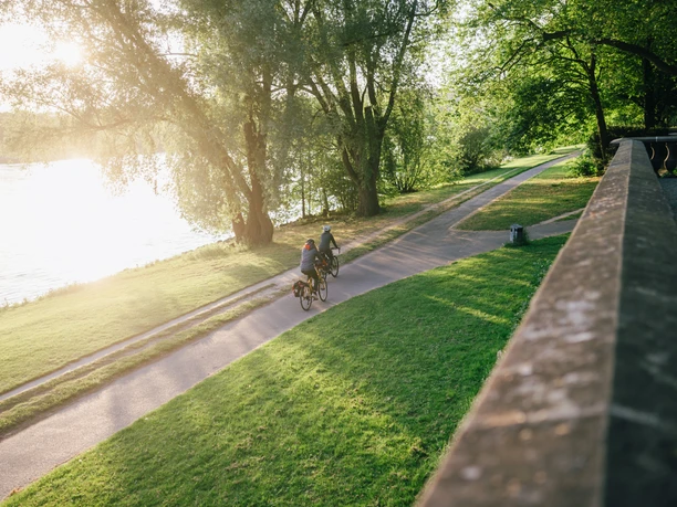 Radfahrer in der Rheinaue in Bonn