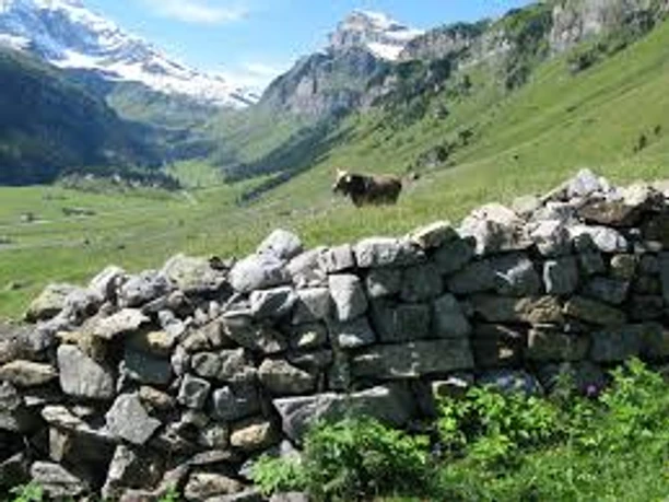 Mitten durch die Alpweiden auf dem Urnerboden