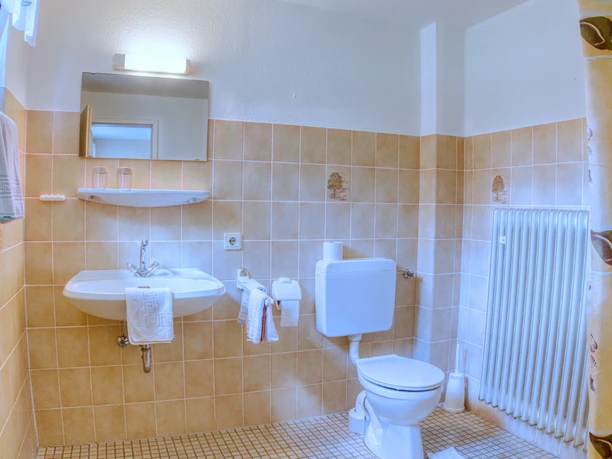 Bad2.jpeg Helles Badezimmer mit beigen Fliesen, Waschbecken, Spiegel, Toilette und Duschvorhang.