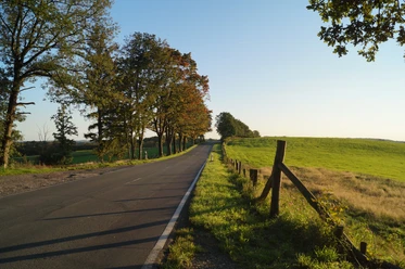 Wermelskirchen - Habenichts <p>Eine von Bäumen gesäumte Landstraße im Sonnenschein, die durch eine grüne Landschaft führt.</p>