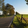 Wermelskirchen - Habenichts <p>Eine von Bäumen gesäumte Landstraße im Sonnenschein, die durch eine grüne Landschaft führt.</p>