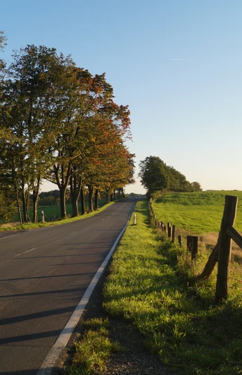 Wermelskirchen - Habenichts <p>Eine von Bäumen gesäumte Landstraße im Sonnenschein, die durch eine grüne Landschaft führt.</p>
