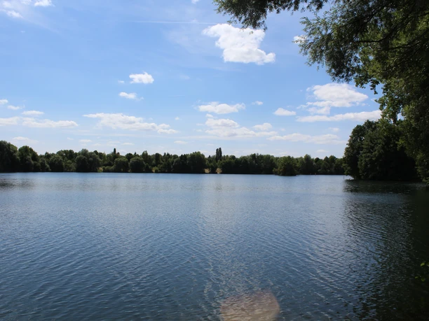 Ruhiger Badesee mit klarem Wasser, umgeben von Bäumen, unter einem strahlend blauen Himmel.