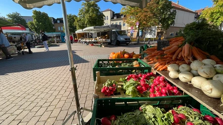 Peine_Hagenmarkt1.jpg