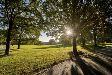 MüGa / Darlington-Park, Mülheim an der Ruhr Licht- und Schattenspiel: Sonnenstrahlen, die durch die Bäume im MüGa-Park scheinen