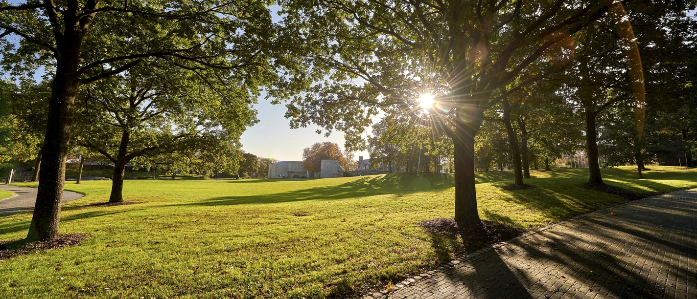 MüGa / Darlington-Park, Mülheim an der Ruhr Licht- und Schattenspiel: Sonnenstrahlen, die durch die Bäume im MüGa-Park scheinen