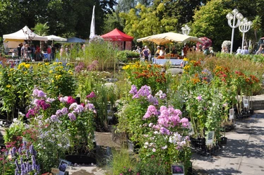 Herbst-Pflanzenraritätenmarkt_Grugapark_Essen_01.JPG Herbst-Pflanzenraritätenmarkt im Grugapark Essen