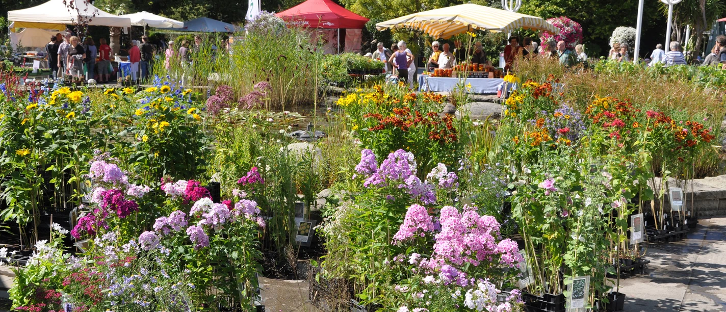 Herbst-Pflanzenraritätenmarkt_Grugapark_Essen_01.JPG Herbst-Pflanzenraritätenmarkt im Grugapark Essen
