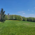 Wiehenturm auf einer grünen Wiese, umgeben von Wald, unter einem klaren blauen Himmel.