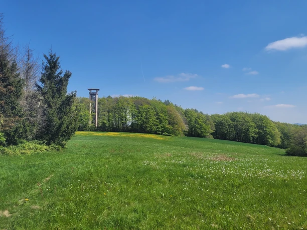 Wiehenturm auf einer grünen Wiese, umgeben von Wald, unter einem klaren blauen Himmel.