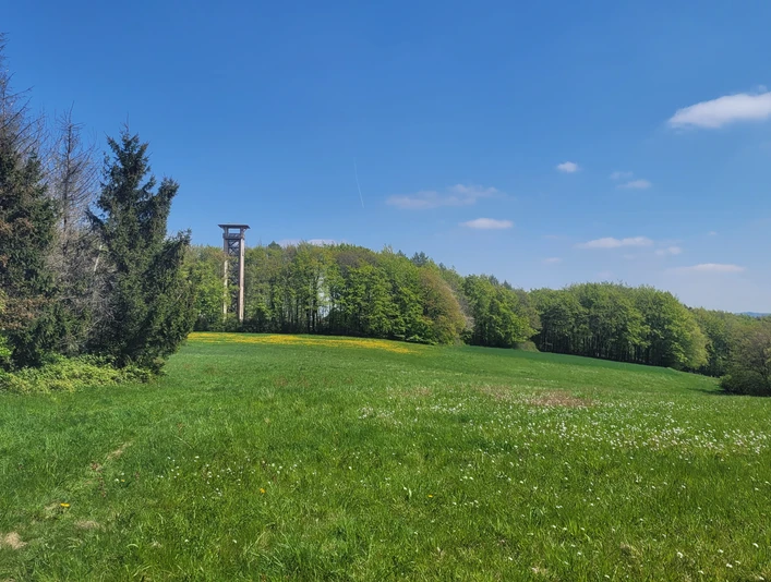 Wiehenturm auf einer grünen Wiese, umgeben von Wald, unter einem klaren blauen Himmel.