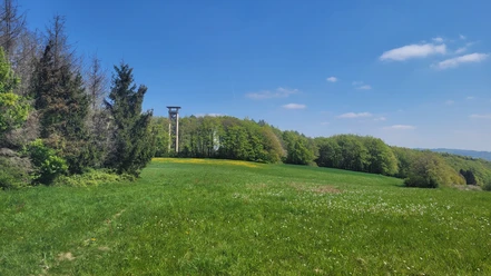 Wiehenturm Wiehenturm auf einer grünen Wiese, umgeben von Wald, unter einem klaren blauen Himmel.