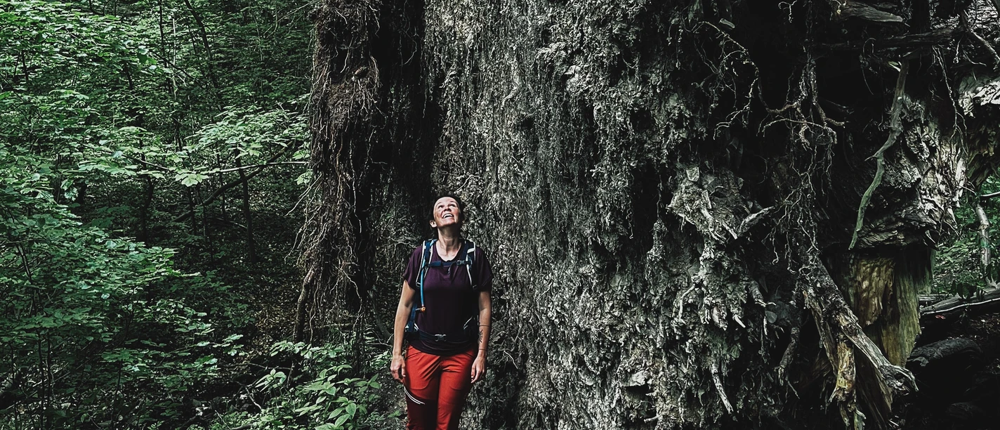 Geführte Touren im Harz - DIE WANDEREI Geführte Touren im Harz - DIE WANDEREI