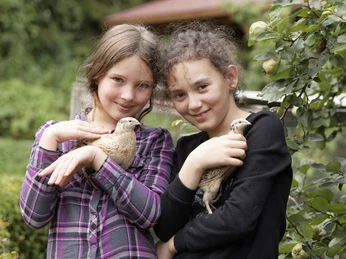 Kinder mit Wachteln CC BY-SA - LTM.jpg