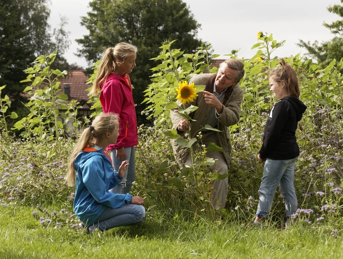 Kinder an Blühstreifen CC BY-SA - LTM.jpg