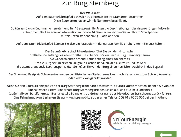 Schild BaumErlebnispfad CC BY-SA - LTM.jpg