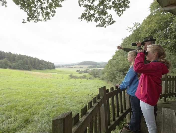 Wildbeobachtung CC BY-SA - LTM.jpg