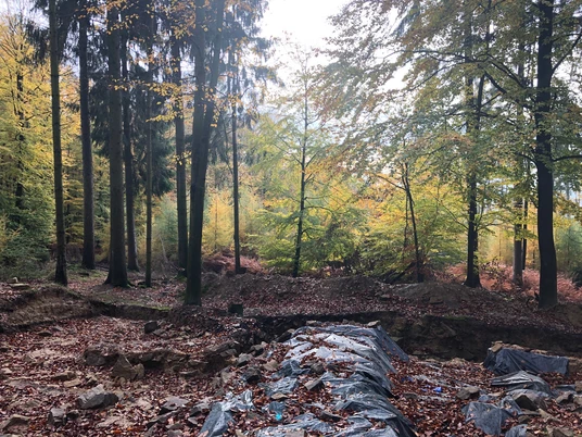 Ausgrabungsarbeiten Piepenkopf CC BY-SA - LTM.JPG