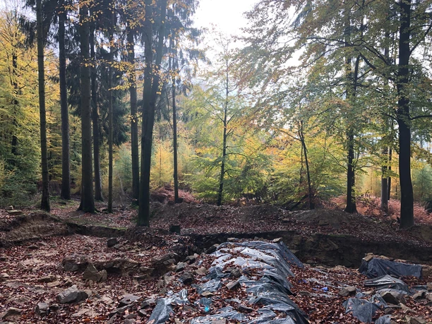 Ausgrabungsarbeiten Piepenkopf CC BY-SA - LTM.JPG