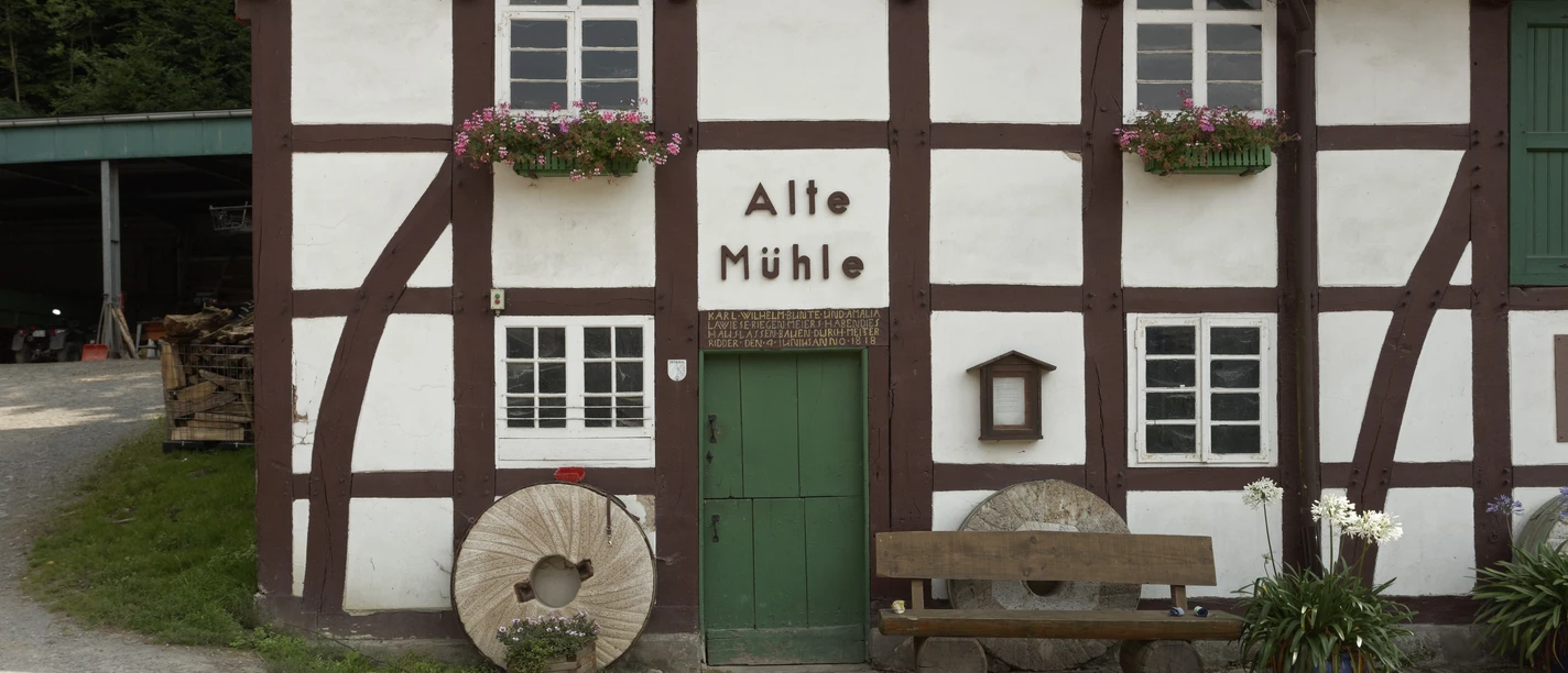 Alte Mühle CC BY-SA - LTM.jpg