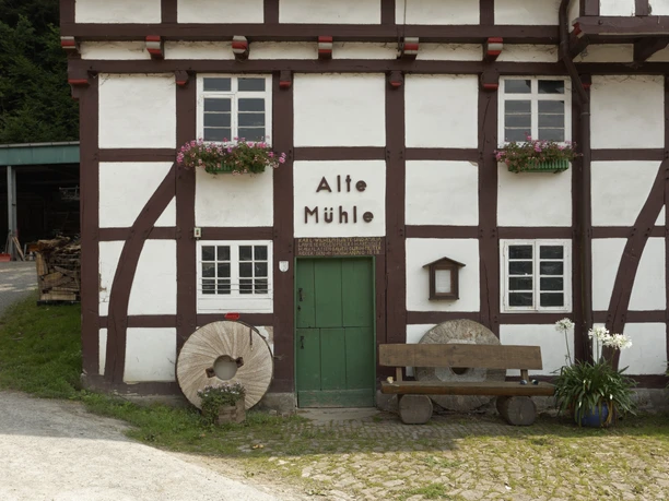 Alte Mühle CC BY-SA - LTM.jpg