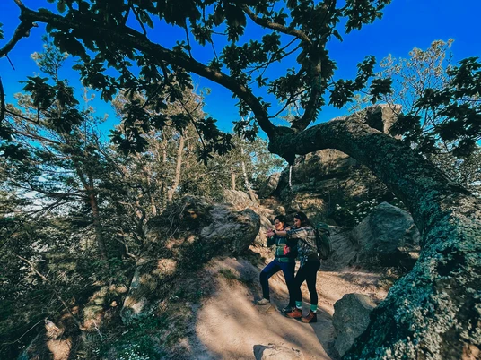 Geführte Touren im Harz - DIE WANDEREI Geführte Touren im Harz - DIE WANDEREI