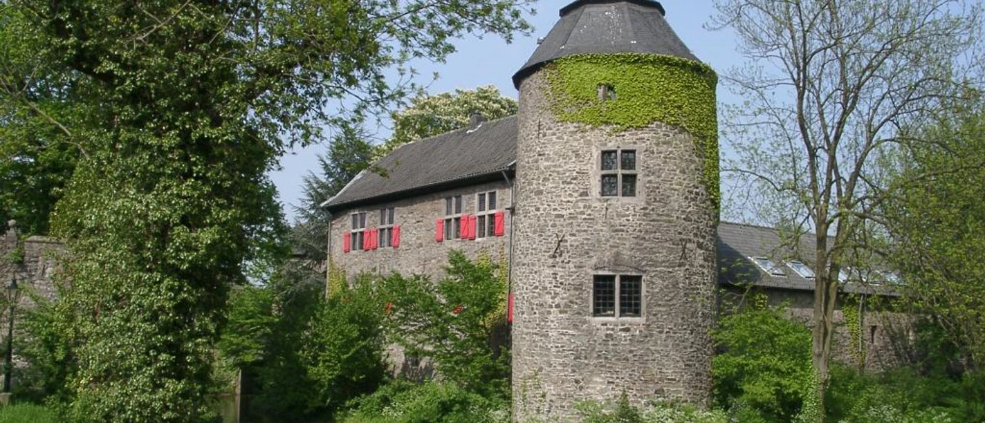 Wasserburg Haus zum Haus in Ratingen Wasserburg inmitten grüner Landschaft, umgeben von Wassergraben und bewachsenen Mauern aus Naturstein.