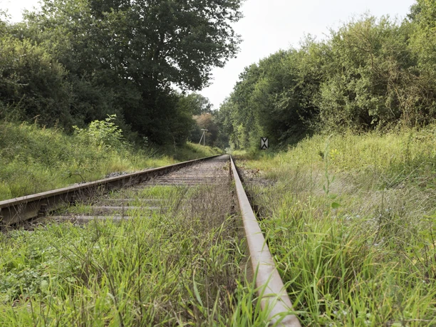 Schiene CC BY-SA - LTM.jpg