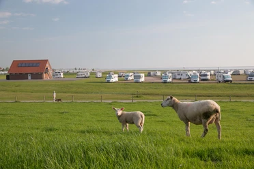 POI_Stellplatz an den Dünen_Stöver.jpg