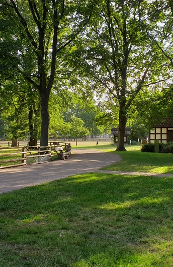 Museumshof Rahden Grüne Wiese mit Bäumen und Fachwerkgebäuden im Sonnenlicht, angenehme Atmosphäre im Museumshof.