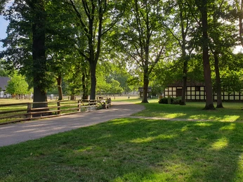 Museumshof Rahden Grüne Wiese mit Bäumen und Fachwerkgebäuden im Sonnenlicht, angenehme Atmosphäre im Museumshof.