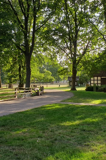 Museumshof Rahden Grüne Wiese mit Bäumen und Fachwerkgebäuden im Sonnenlicht, angenehme Atmosphäre im Museumshof.