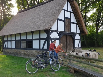 Museumshof Rahden Fachwerkhaus mit Strohdach, umgeben von Schafen, Bäumen und zwei Fahrrädern auf einer Wiese.