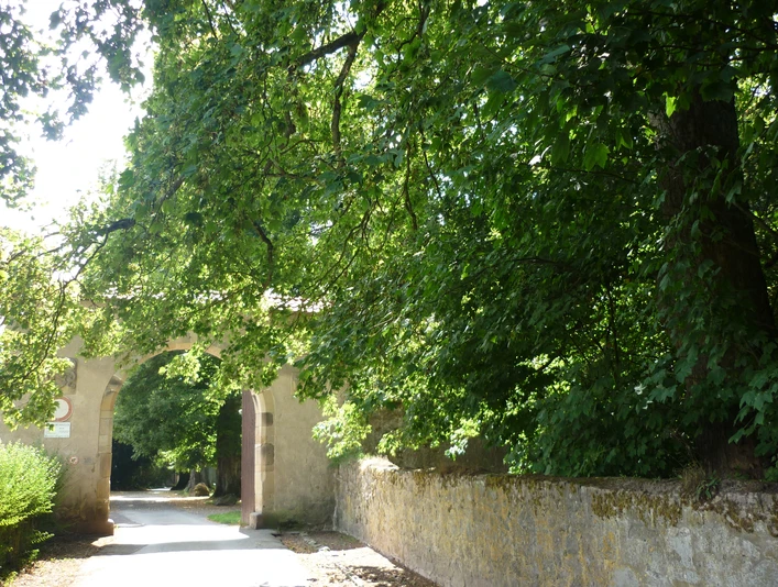 Tor Schloss Barntrup CC BY-SA - LTM.JPG