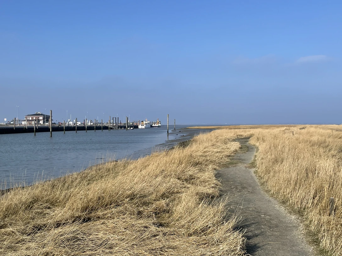 Muschelpfad Neßmersiel