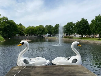 Kurpark Tretboote Schwäne.jpg