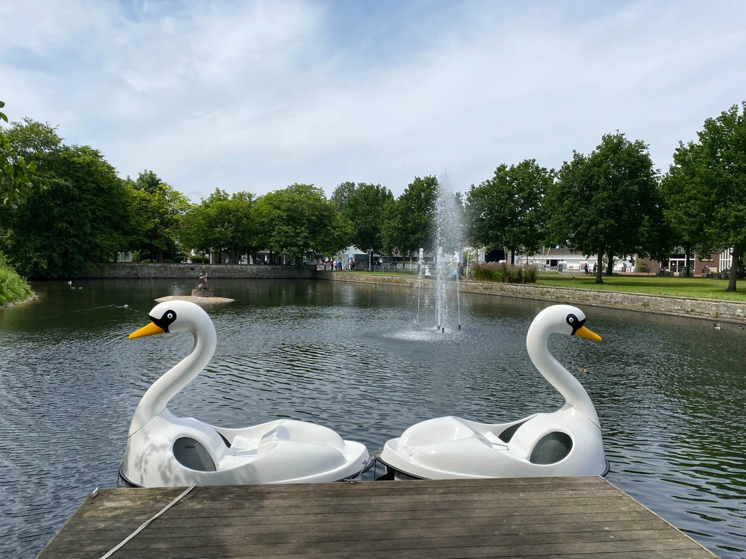 Kurpark Tretboote Schwäne.jpg