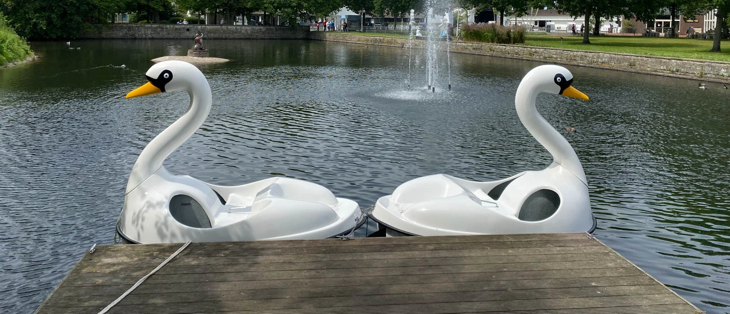 Kurpark Tretboote Schwäne.jpg