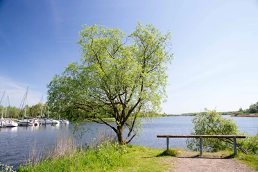 Hooksmeer Jogging Route