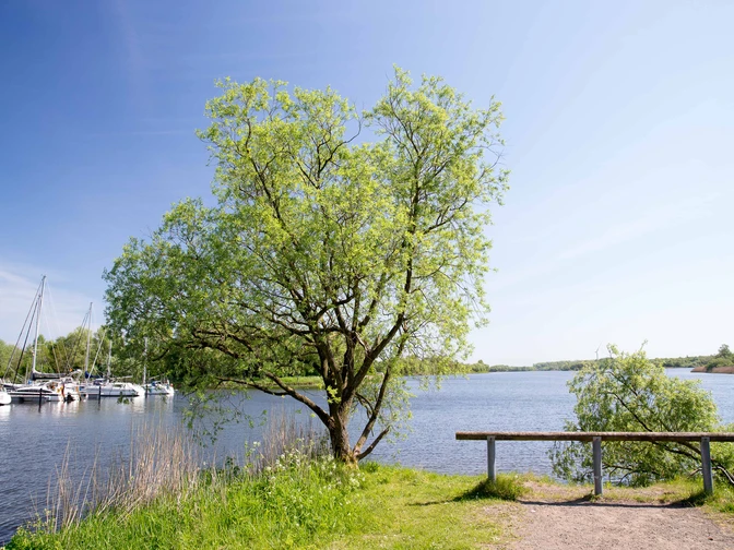 Hooksmeer Jogging Route