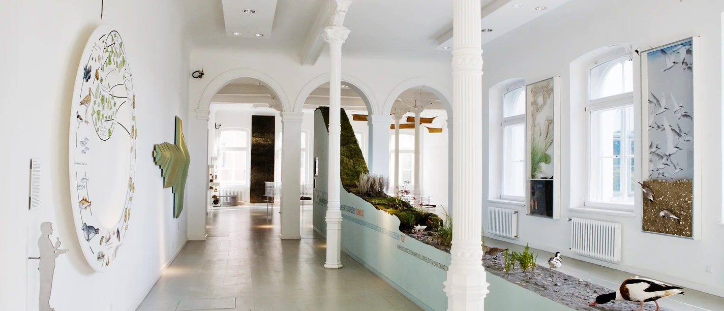 Landesmuseum Natur und Mensch Oldenburg Ausstellung View of the exhibition at the Landesmuseum Natur und Mensch Oldenburg