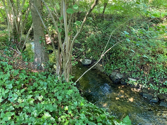 Ölbach an der Grundschule Stukenbrock in Schloß Holte-Stukenbrock