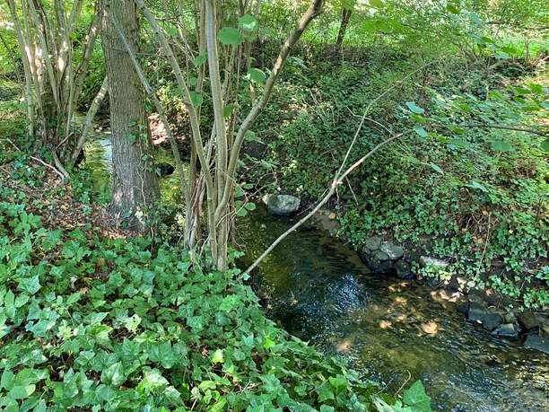 Ölbach an der Grundschule Stukenbrock in Schloß Holte-Stukenbrock Ölbach an der Grundschule Stukenbrock in Schloß Holte-Stukenbrock