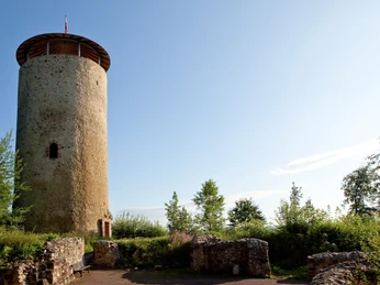 Burgruine Löwenstein
