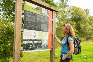 Infotafel am Böllweg Eine Frau betrachtet ein hölzernes Informationsschild in einem grünen Park mit Bäumen im Hintergrund.