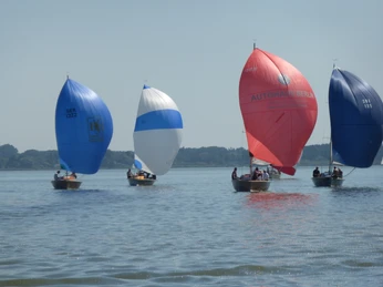 P1000374.JPG Segelboote gleiten mit farbigen Spinnakern über das sonnige Wasser eines Sees in Niedersachsen.