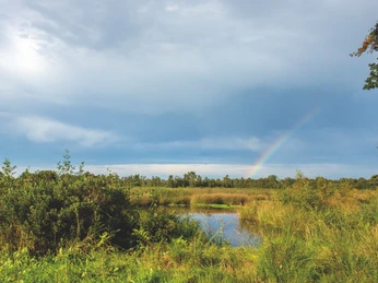 Venner Moor Regenbogen über einer grünen Landschaft mit Teichen und bewölktem Himmel.Rainbow over a green landscape with ponds and a cloudy sky.Regnbue over et grønt landskab med damme og en overskyet himmel.Regenboog over een groen landschap met vijvers en een bewolkte lucht.