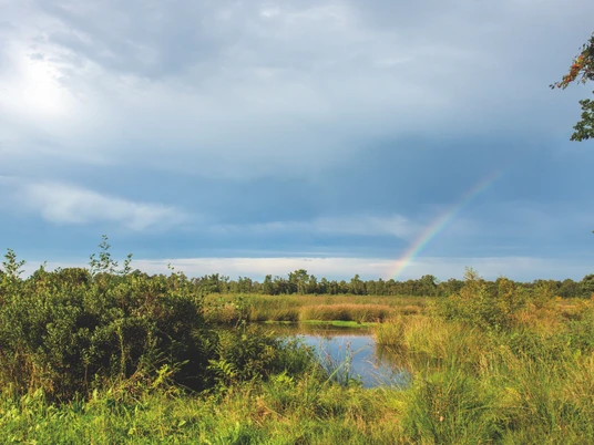 Venner Moor Regenbogen über einer grünen Landschaft mit Teichen und bewölktem Himmel.Rainbow over a green landscape with ponds and a cloudy sky.Regnbue over et grønt landskab med damme og en overskyet himmel.Regenboog over een groen landschap met vijvers en een bewolkte lucht.