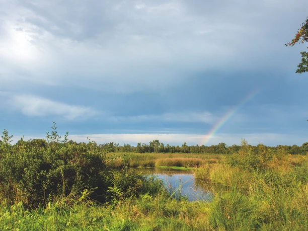 Venner Moor Regenbogen über einer grünen Landschaft mit Teichen und bewölktem Himmel.